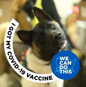 Meet your Posher, Logan